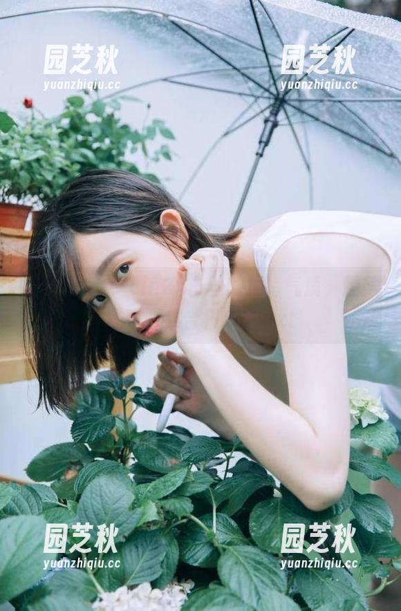感受Joyce Lin2x白丝的独特气质，精美写真图集合集分享.txt
